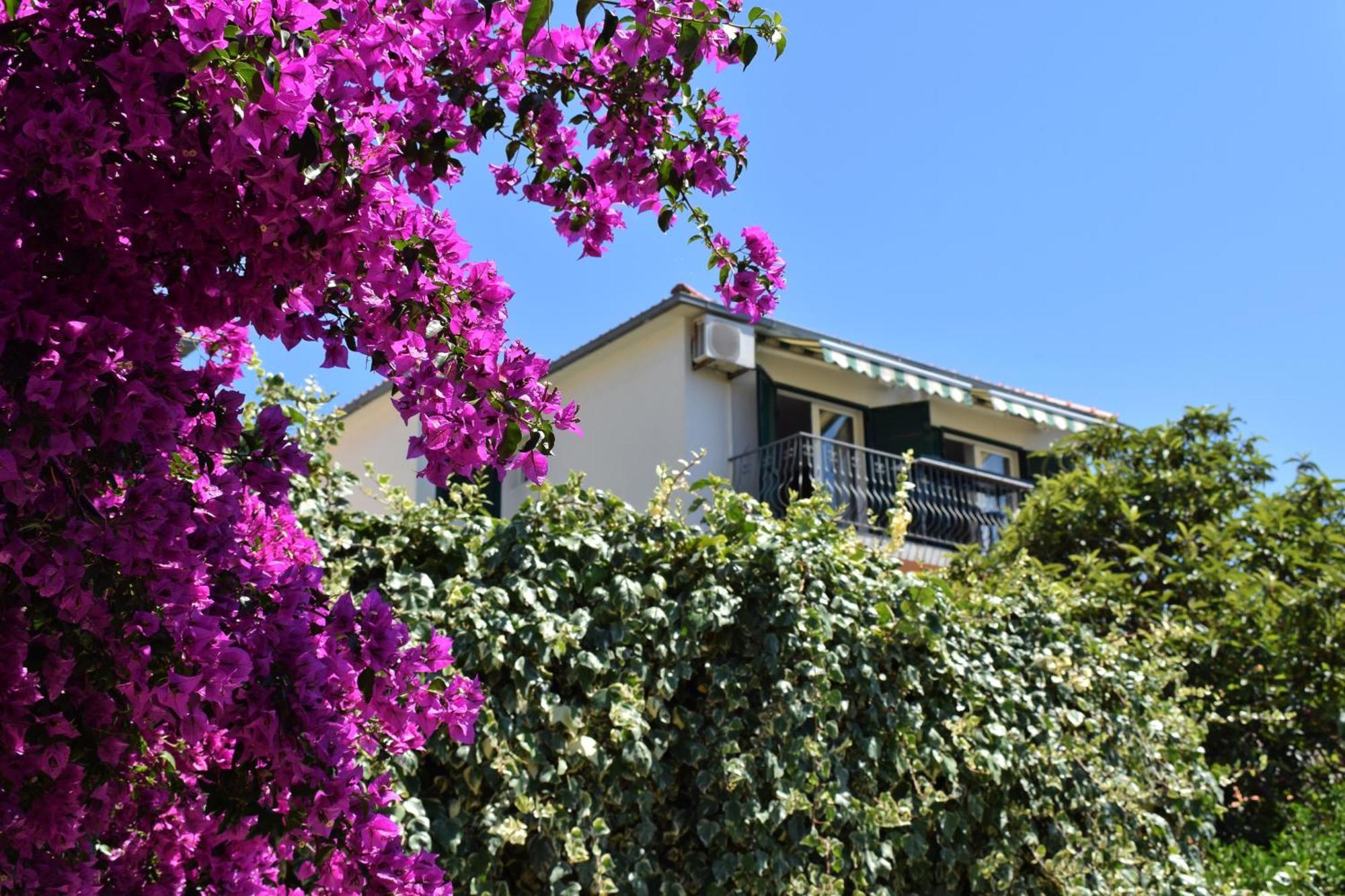 Lina Vrankovic Apartments Hvar Town Kültér fotó