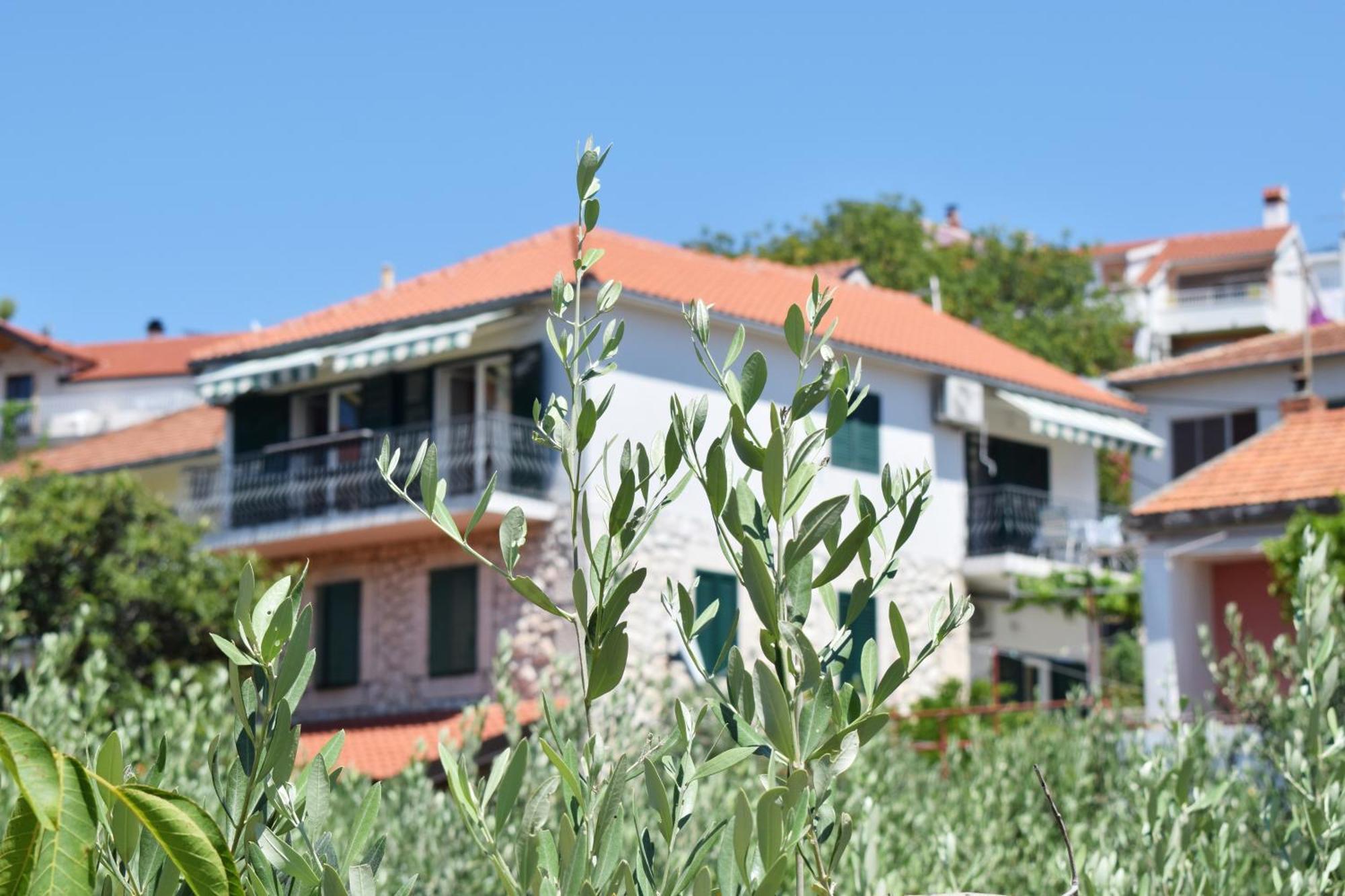 Lina Vrankovic Apartments Hvar Town Kültér fotó